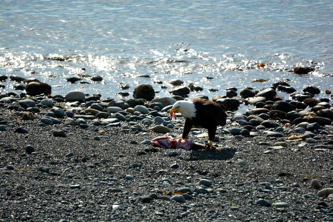 Oceanfront Paradise Comox Luaran gambar