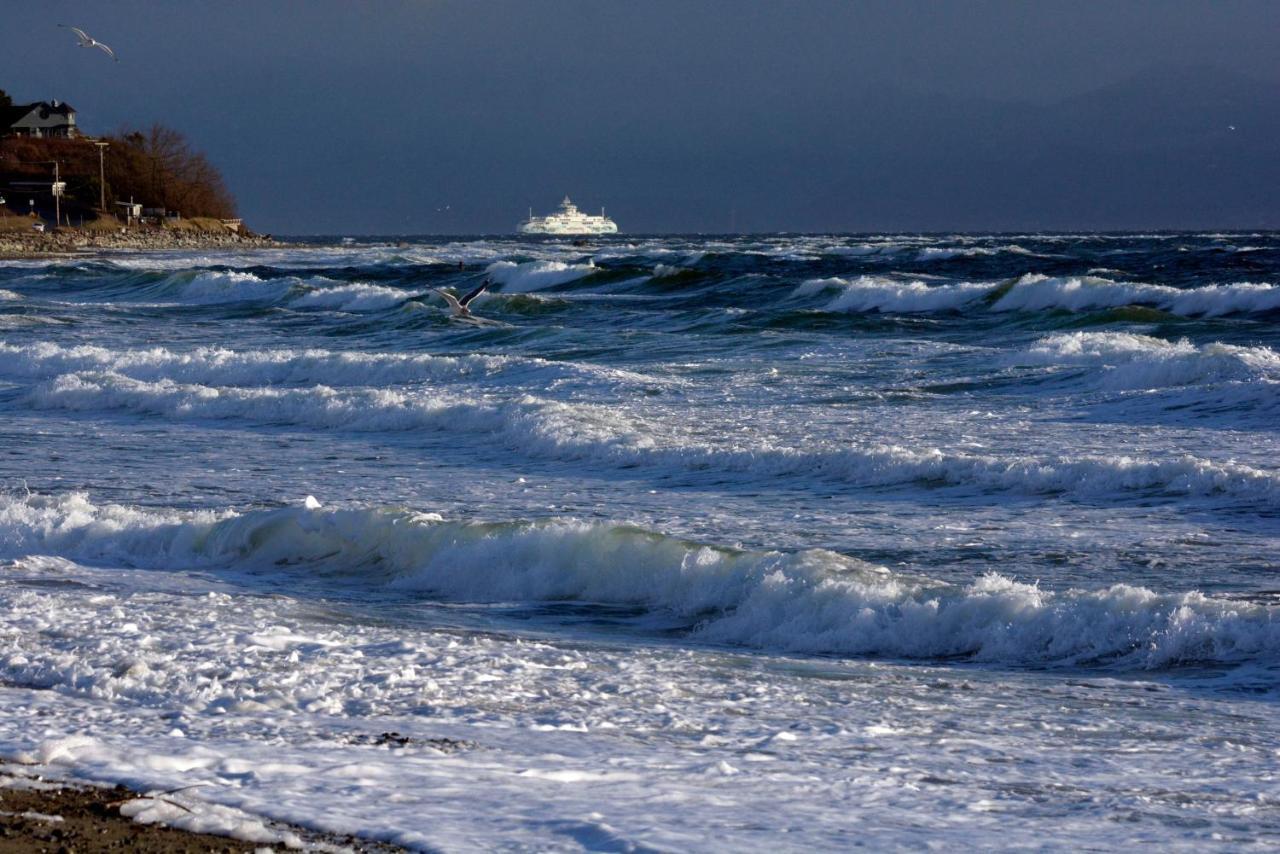 Oceanfront Paradise Comox Luaran gambar